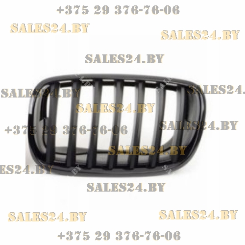 Решетка радиатора в капот полностью черная левая BMW X5 E70 2006-2013 | AVG / Чехия - Тайвань - Китай