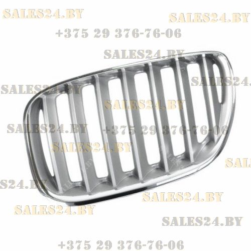 Решетка радиатора лев BMW: X5 04-05 (титан/хром) BMW X5 04-05 (/) | TYG / Тайвань